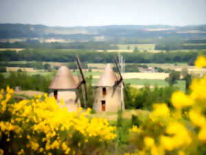 photo JEP 2025 - MAS-SAINTES-PUELLES