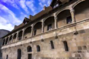 photo Visite guidée du Château-Musée Henri IV