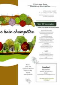 photo Créer une haie fruitière diversifiée
