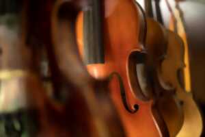 photo Concert Bach Connie Pharoah alto (viola)