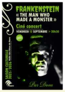 photo Ciné concert 