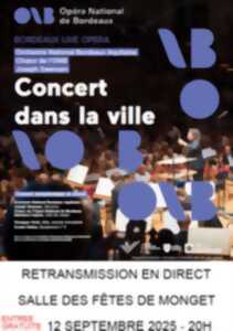 photo Concert dans la ville