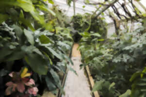 photo JOURNÉES EUROPÉENNES DU PATRIMOINE 2025: VISITE GUIDÉE DU JARDIN BOTANIQUE DE LA FONT DE BEZOMBES