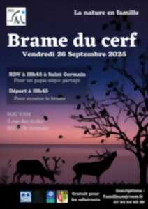 photo Brame du cerf
