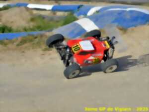 photo Championnat de France de Buggys radio-commandés 1/8