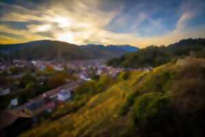 photo Vignobles en Scène Alsace : le Grand Cru Rangen à travers l'objectif
