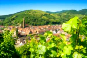 photo Vignobles en Scène Alsace : mise en lumière du patrimoine viticole et architectural