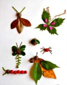 photo ATELIER DESSINER AVEC LA NATURE