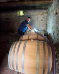 photo DÉCOUVERTE DU MÉTIER DE VIGNERON