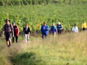 photo Marche populaire