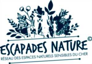 photo Les oiseaux en automne