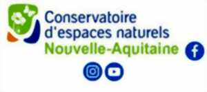 photo Entretien de mares, chantier bénévoles