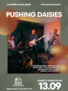 photo Concert Pushing Daisies // La Flottille
