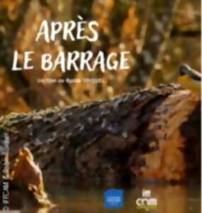 photo Projection débat - Après le barrage