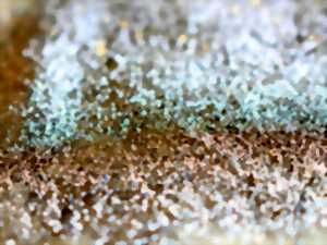 photo Sous les paillettes, pour l'abolition des violences faites aux femmes