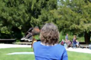photo Halloween à la Volerie des aigles