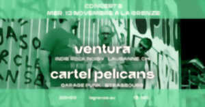 photo Ventura + Cartel Pelicans