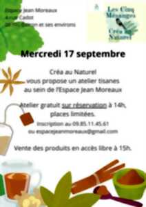 photo Atelier tisanes