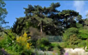 photo Jardin botanique littoral : Création d’un jardin-forêt