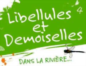 Exposition sur les libellules (odonates)