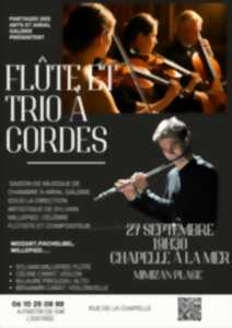 photo Flûte et Trio à cordes