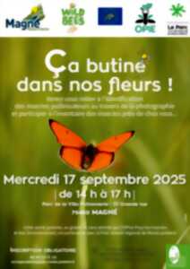 photo Ça butine dans nos fleurs ! à Magné