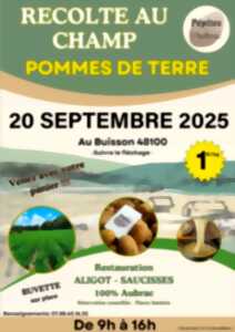 photo RÉCOLTE DE POMME DE TERRE AU CHAMP