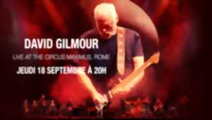 photo CINE CONCERT : DAVID GILMOUR