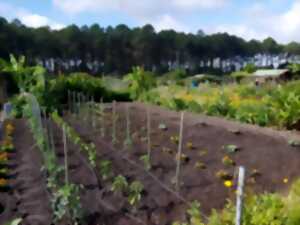 photo Portes Ouvertes aux Jardins Familiaux