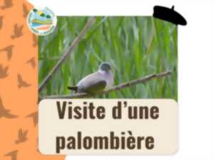 photo Visite d'une palombière
