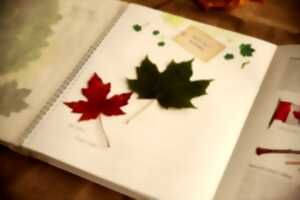 photo Muséovacances : créer un herbier