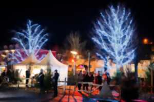 photo Spectacle : Cirque de Noël