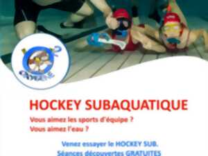 photo Initiation au hockey subaquatique