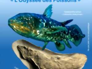 photo Bourse-exposition L'odyssée des poissons