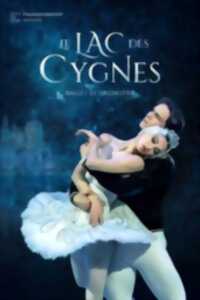 photo Le Lac des Cygnes