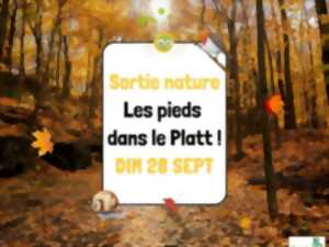 photo Sortie nature - Les pieds dans le Platt !