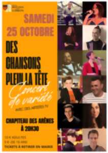 photo CONCERT DES CHANSONS PLEIN LA TETE
