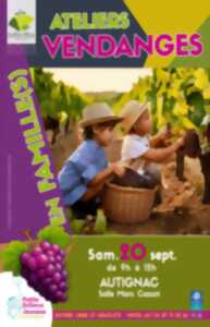 photo ATELIERS VENDANGES - EN FAMILLE(S)