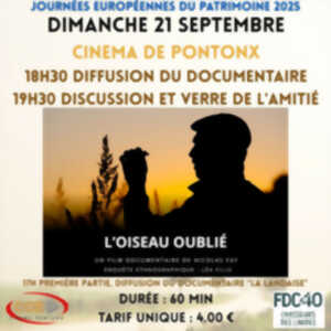 photo L'oiseau oublié