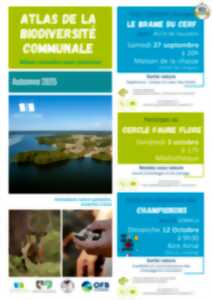 photo Sortie mycologique // Partez à la découverte des champignons avec la Somyla