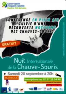 photo Conférence et découverte nocturne des chauve-souris