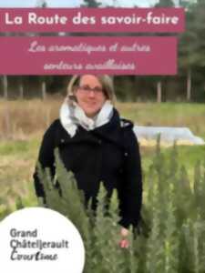 photo Les aromates et autres senteurs availlaises