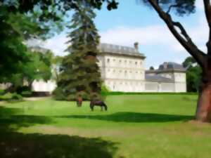 photo JEP 2025 - VISITE GUIDÉE DU CHÂTEAU DE PECH REDON
