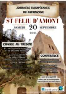 photo VIDE GRENIER - SAINT FELIU D'AMONT
