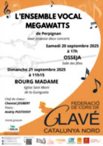 photo CONCERT ENSEMBLE VOCAL MEGAWATTS