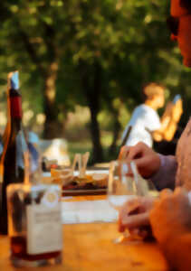 photo VIGNOBLES EN SCENE - MARCHE DES CRÉATRICES CHEZ SOL PAYRE