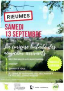 photo LA CURIEUSE BALADE DES NOUVEAUX ARRIVANTS
