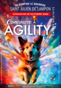 photo Concours Agility au camping Le Bourniou - Saint Julien de Lampon