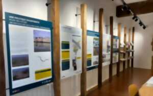 photo Pause Patrimoine : l'oeil aux aguets une boutique pas comme les autres