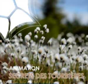 photo Animation Secrets des Tourbières